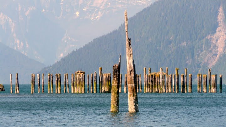 pilings pilings