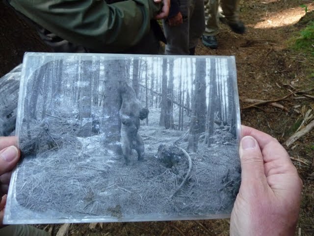 remote camera picture remote camera picture