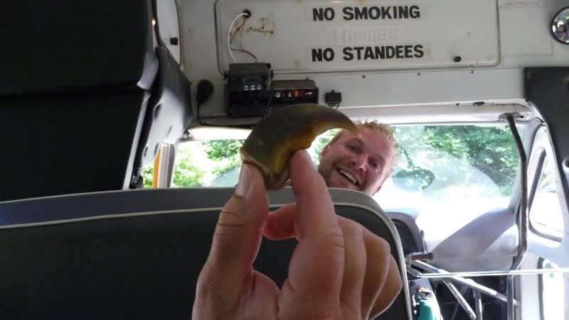 small claw small claw