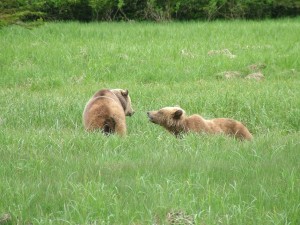 Lenore and Peanut Lenore and Peanut in Glendale Cove