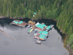 aerial view of Knight Inlet Lodge aerial view of Knight Inlet Lodge