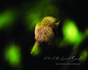DCP.ie_VoiceOfTheGreatSpirit_cover